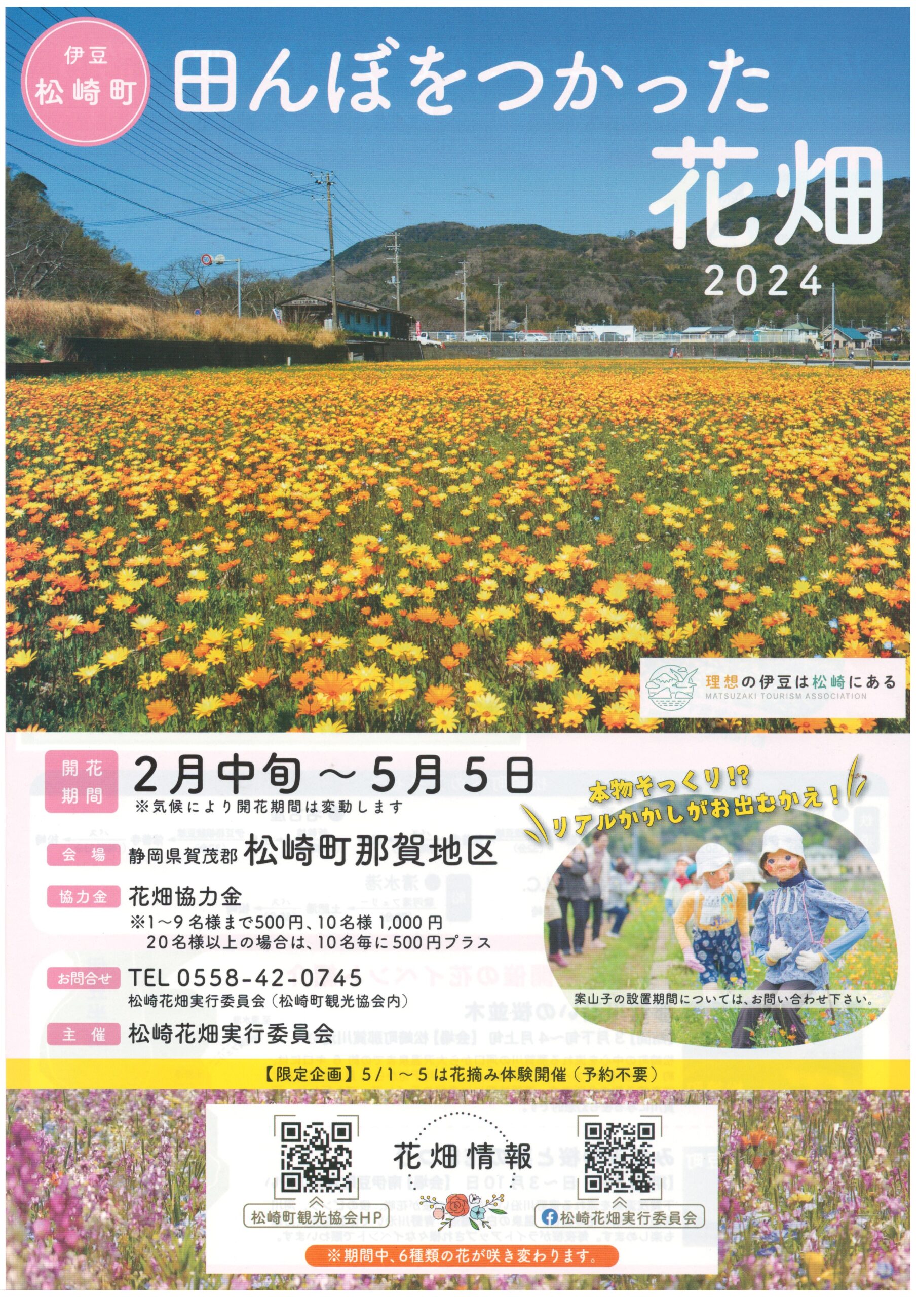 松崎町 田んぼをつかった花畑と那賀川沿いの桜並木 | 道の駅 伊豆