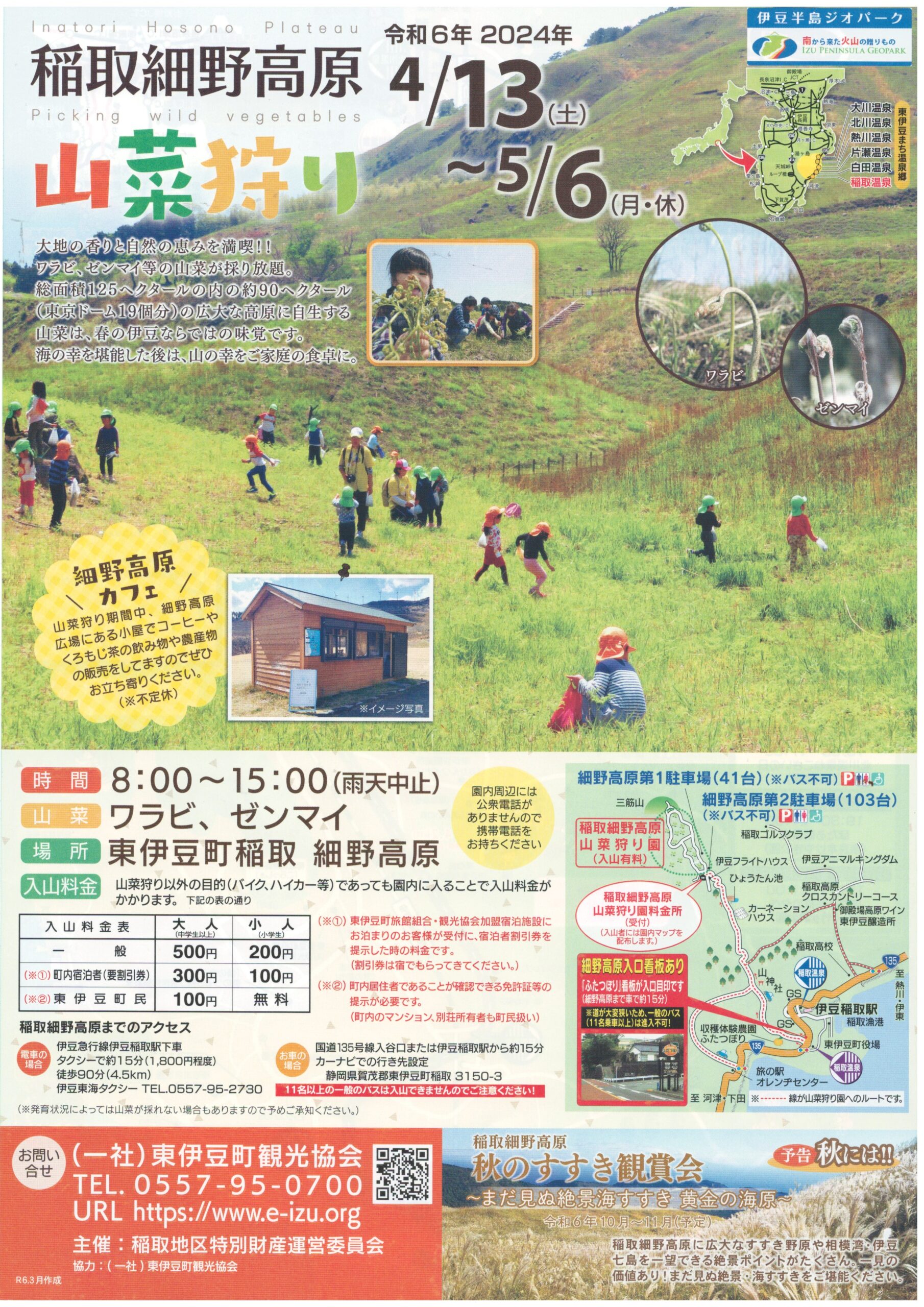 稲取細野高原 山菜狩り | 道の駅 伊豆ゲートウェイ函南