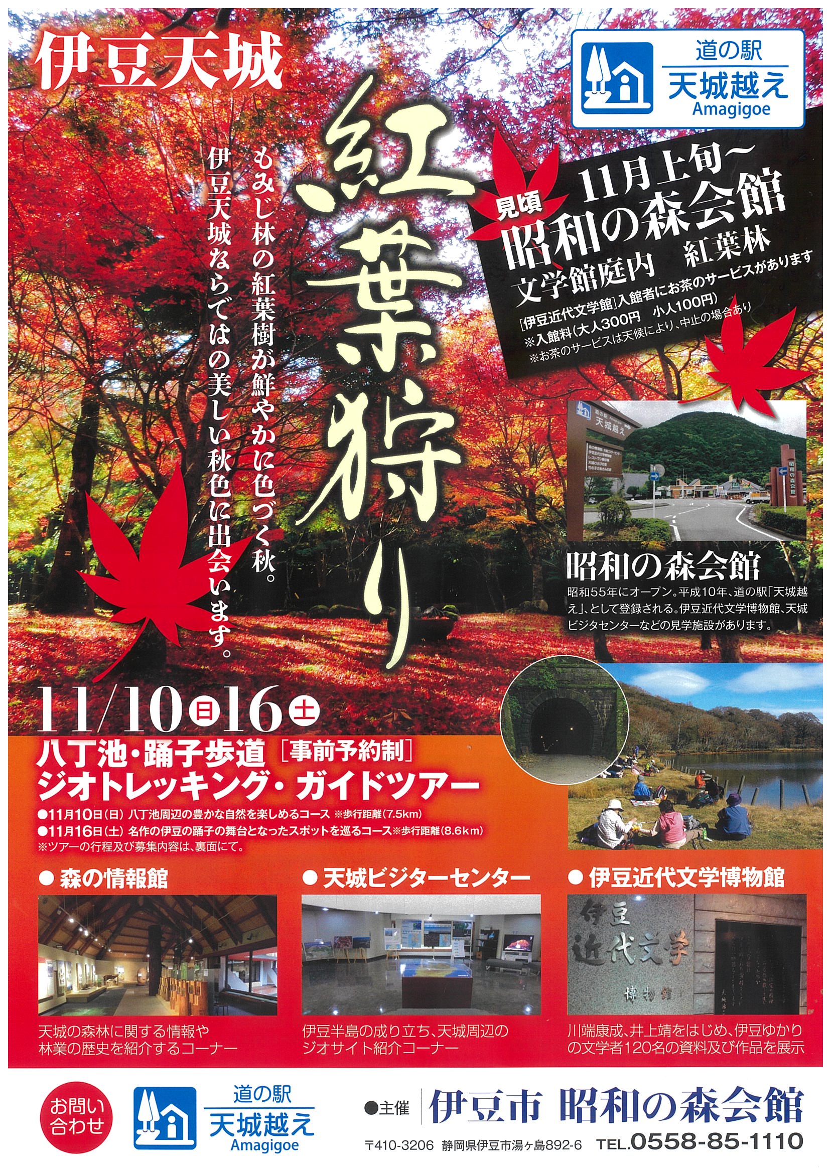 道の駅 天城越え 昭和の森会館の紅葉狩りと八丁池・踊子歩道ジオ