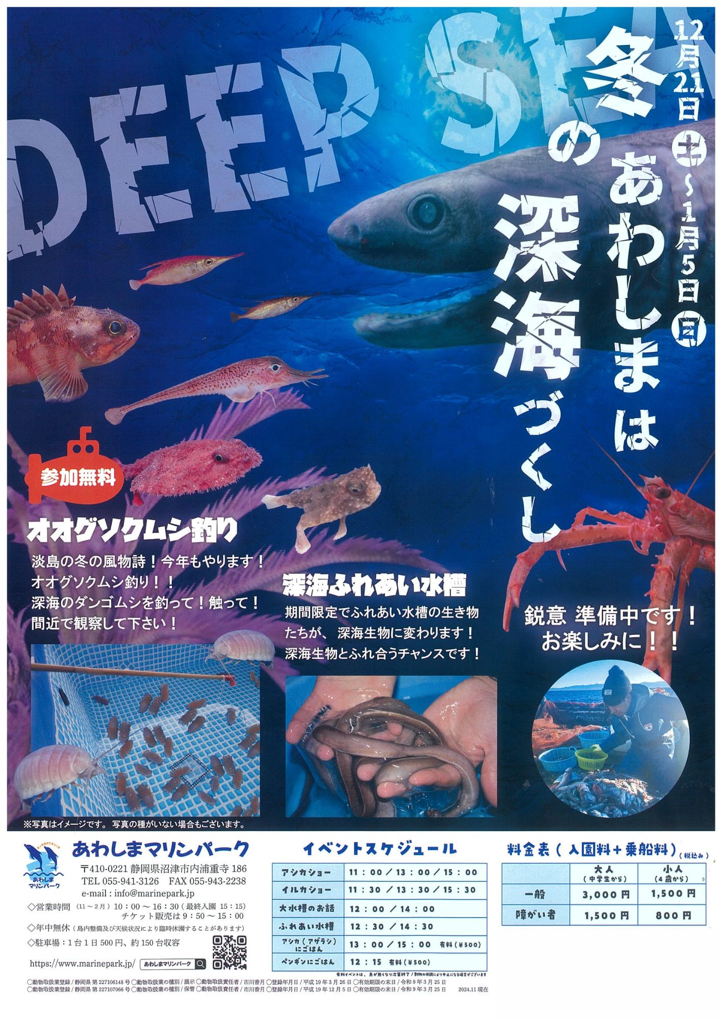 あわしまマリンパーク 冬のあわしまは深海づくし | 道の駅 伊豆