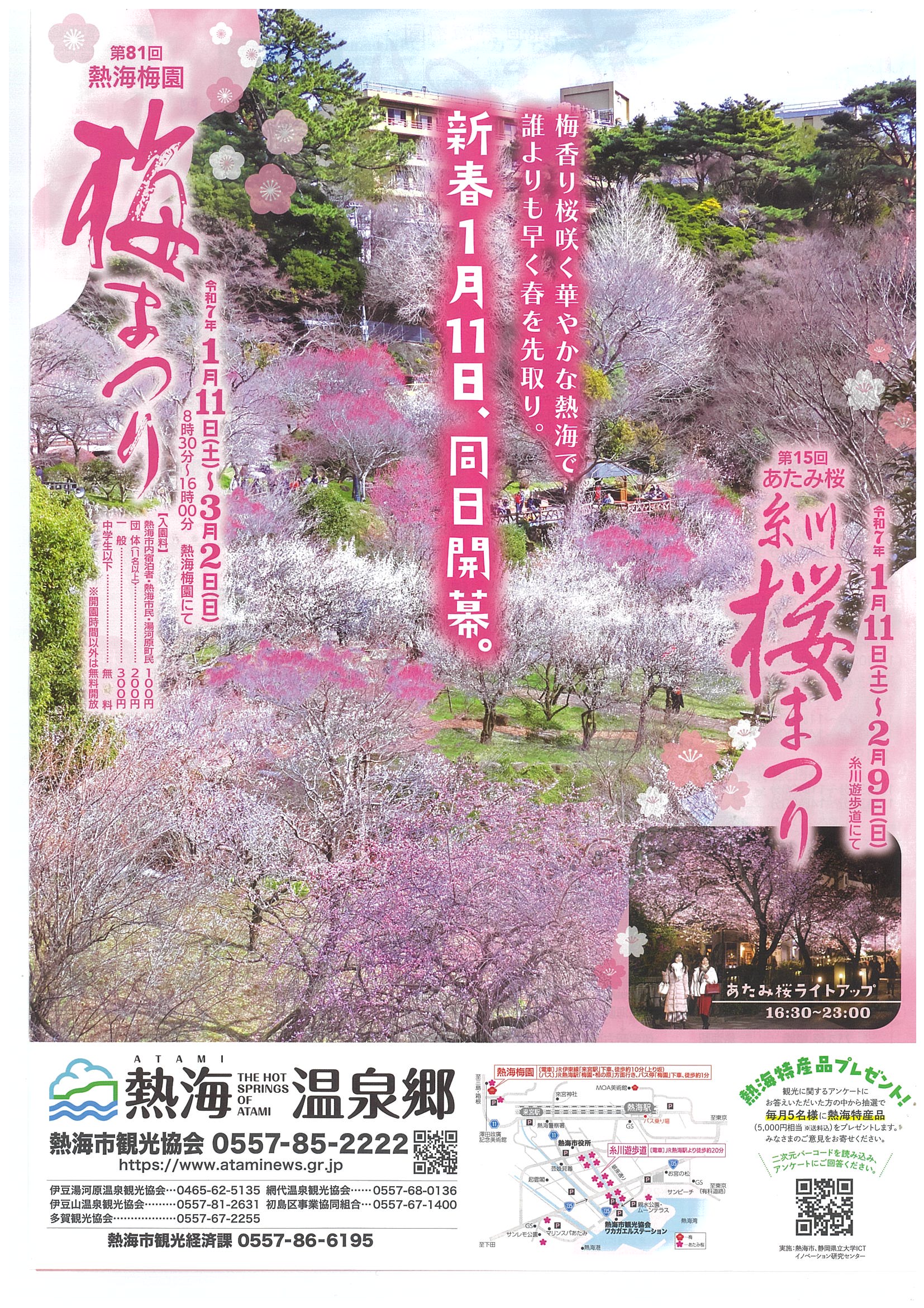 第81回熱海梅園梅まつり 第15回あたみ桜糸川桜まつり（2025） | 道の駅