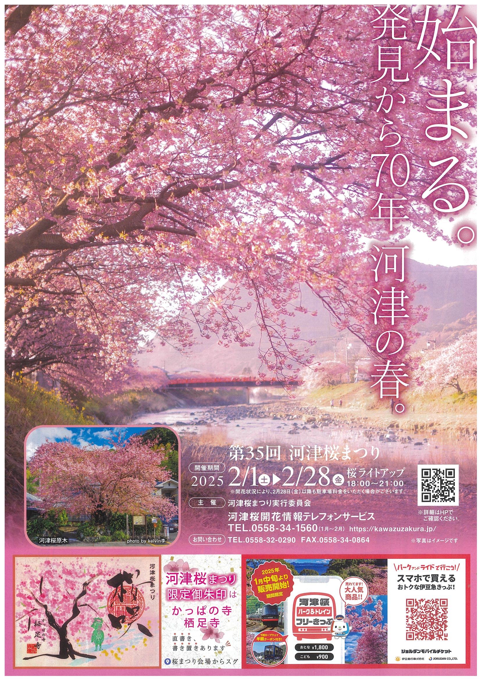 川津桜 