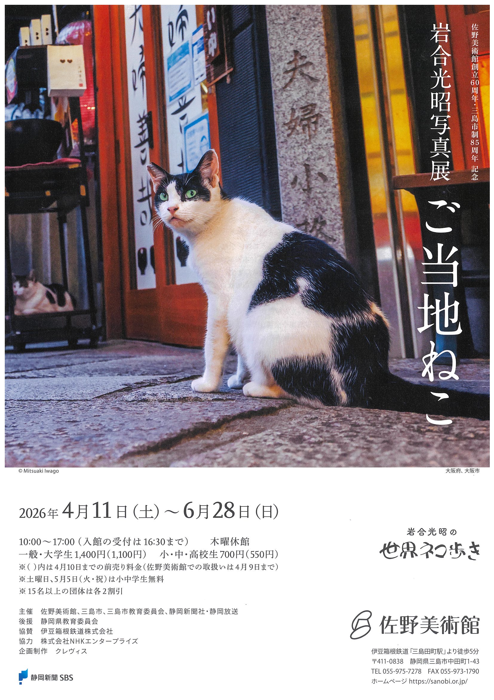佐野美術館 岩合光昭写真展 ご当地ねこ | 道の駅 伊豆ゲートウェイ函南